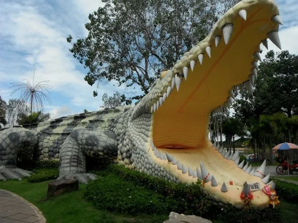 big crocodile at Phichit