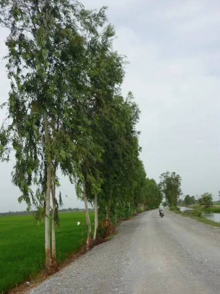Road to Nakorn Patom