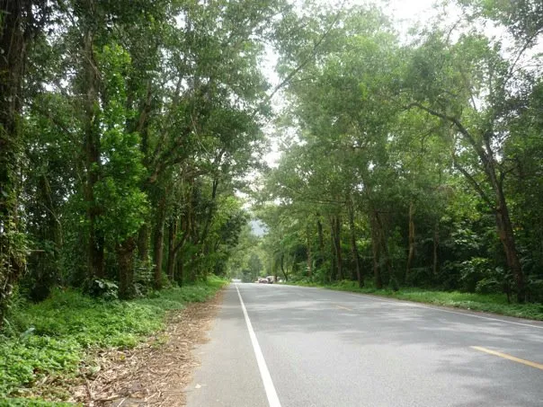 View along the way Phang-Nga