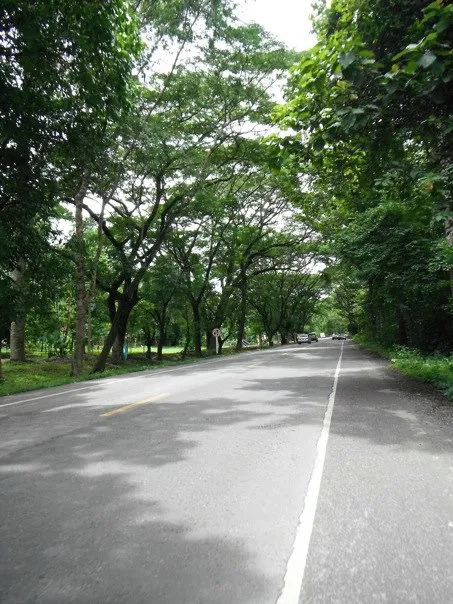 nice road