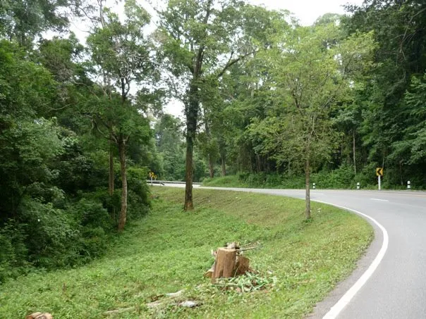 Mueang Sakon Nakhon to Dinosaur Museum