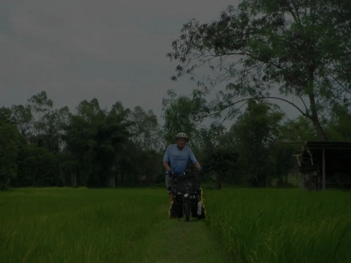 bicycle with rice field
