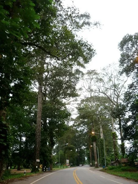 Mueang Trat to Soi Dao