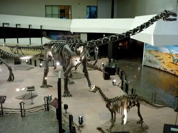 Mueang Sakon Nakhon to Dinosaur Museum