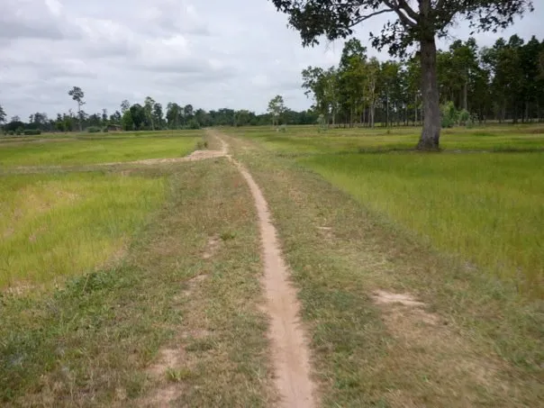 road to surin