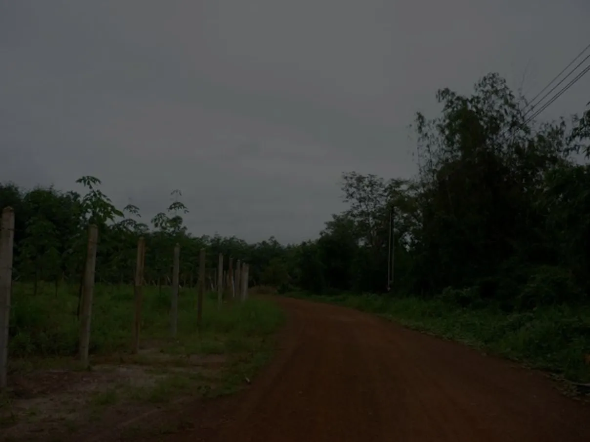 Mueang Trat to Soi Dao