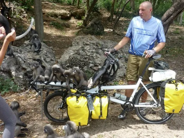 monkey attack