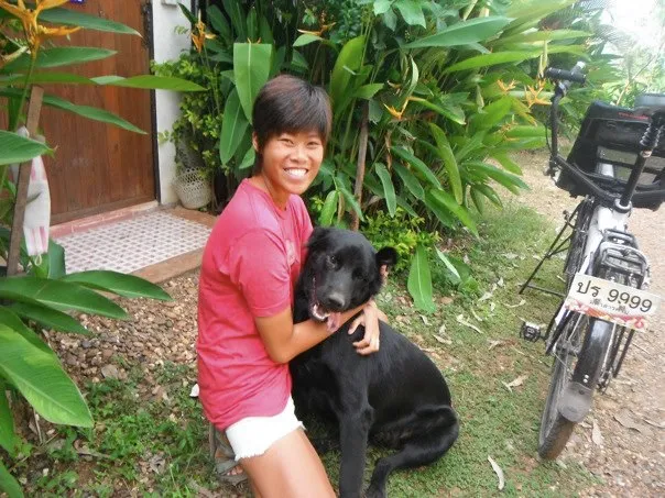 cute dog in Fao rai